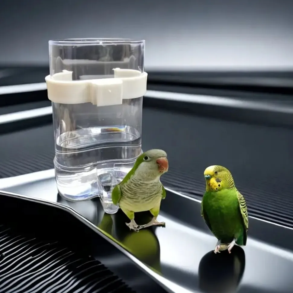 DOWNYPAWS - Mangeoire à eau pour oiseaux