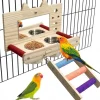 DOWNYPAWS - Miroir oiseau - perchoir en bois avec miroir