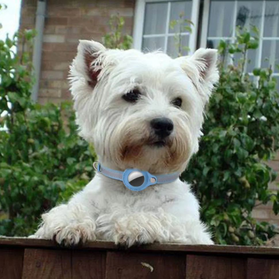 DOWNYPAWS - Modèles compatibles airta - collier anti-perte pour chat bleu