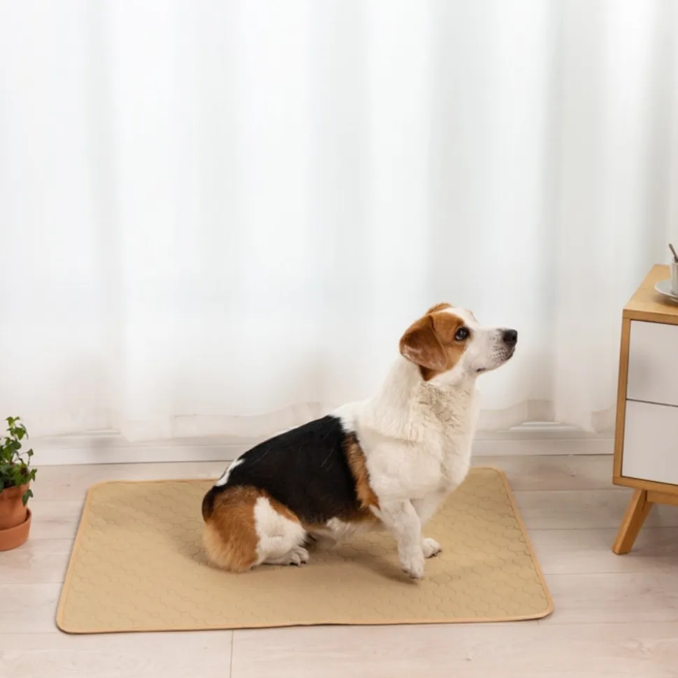 DOWNYPAWS - Nappe anti-urine pour animaux de compagnie réutilisable 50*70cm beige