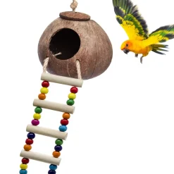DOWNYPAWS - Nid d'oiseau de coco avec jouet et pour perruches, en herbe et fait main