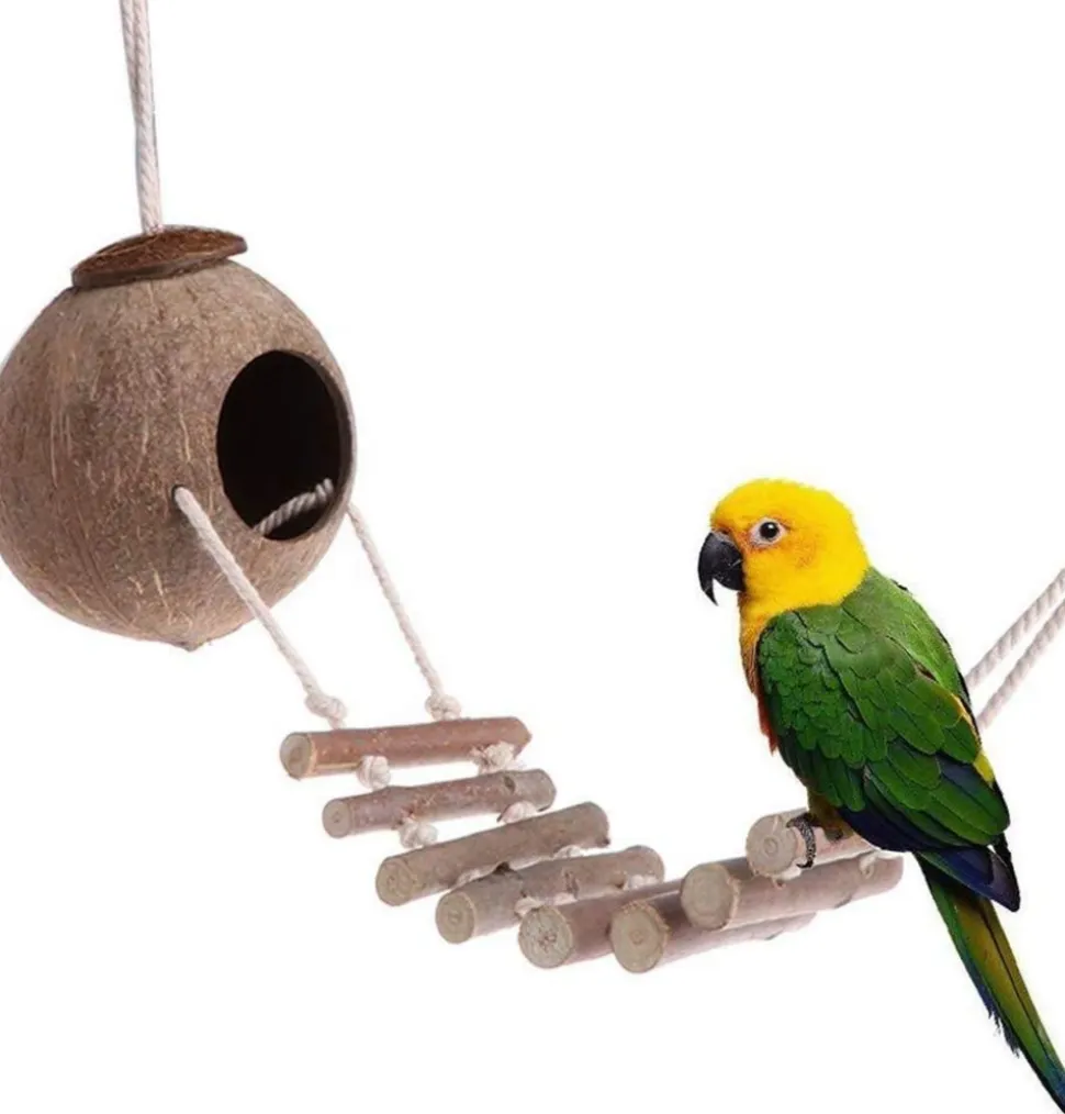 DOWNYPAWS - Nid d'oiseau naturel en coquille de noix de coco avec corde