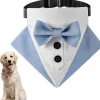 DOWNYPAWS - Nœud papillon pour chien