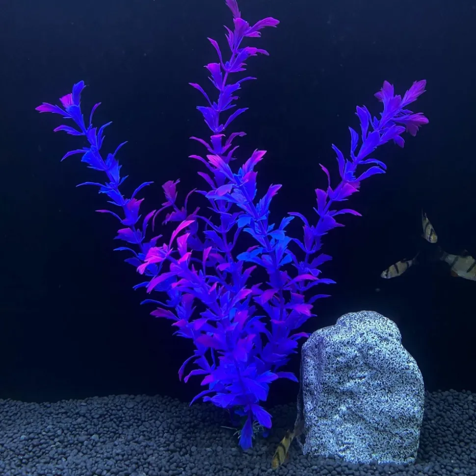 DOWNYPAWS - 5 ornements de plantes aquatiques artificielles pour aquarium de 30 cm