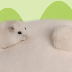 DOWNYPAWS - Panier - coussin doux pour lapins et écureuils