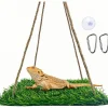 DOWNYPAWS - Perchoir et hamac pour oiseaux