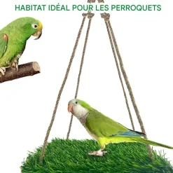 DOWNYPAWS - Perchoir et hamac pour oiseaux