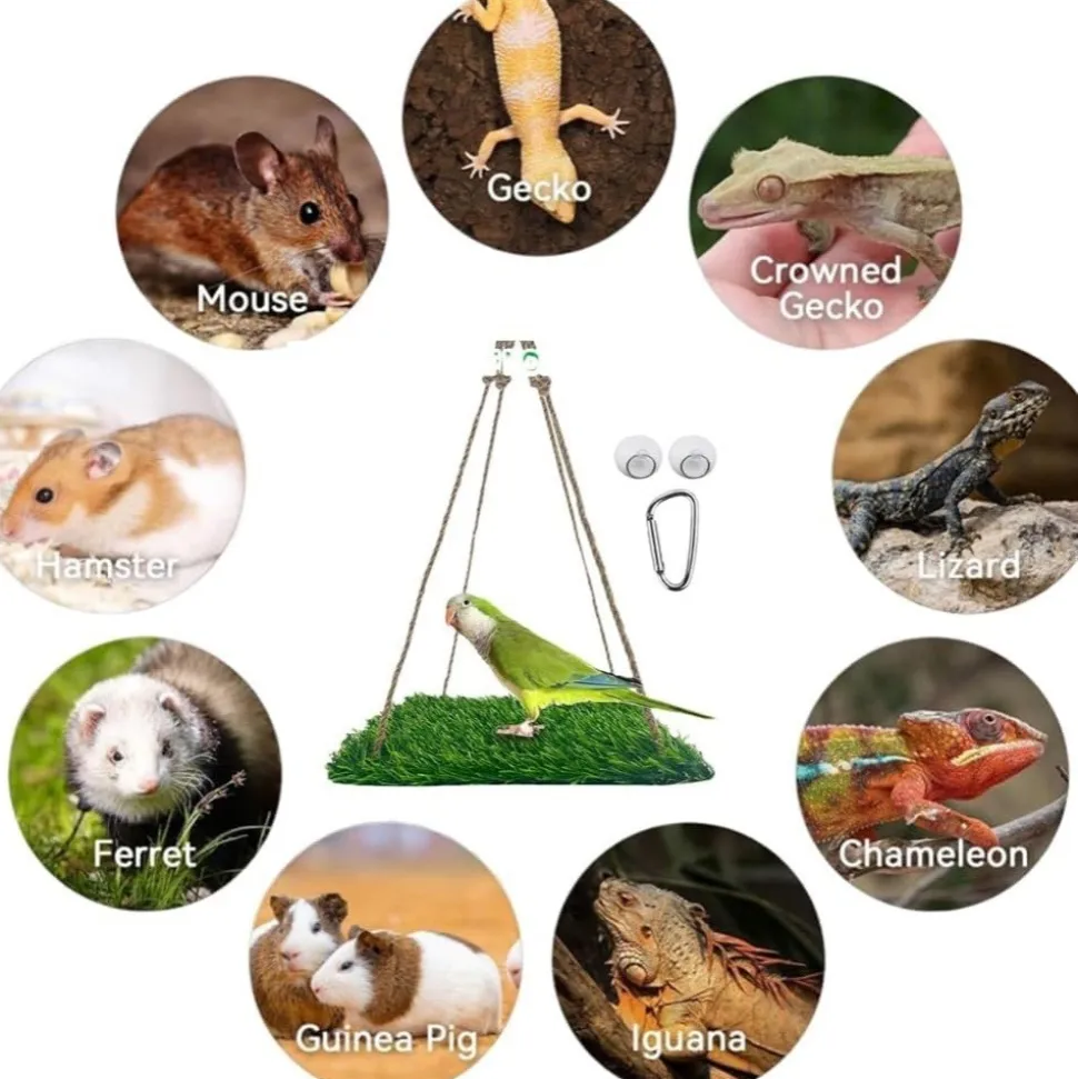 DOWNYPAWS - Perchoir et hamac pour oiseaux