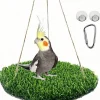 DOWNYPAWS - Perchoir et hamac pour oiseaux