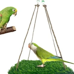 DOWNYPAWS - Perchoir et hamac pour oiseaux