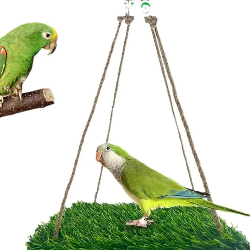 DOWNYPAWS - Perchoir et hamac pour oiseaux