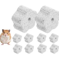 DOWNYPAWS - Pierre molaire jouet - 10 pièces pour chinchillas lapins et cobayes