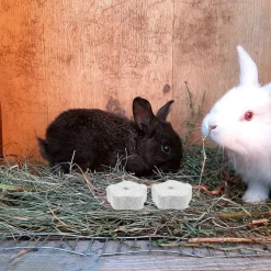 DOWNYPAWS - Pierre molaire jouet - 10 pièces pour chinchillas lapins et cobayes