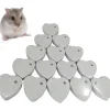 DOWNYPAWS - Pierre molaire jouet - 10 pièces pour chinchillas lapins et cobayes