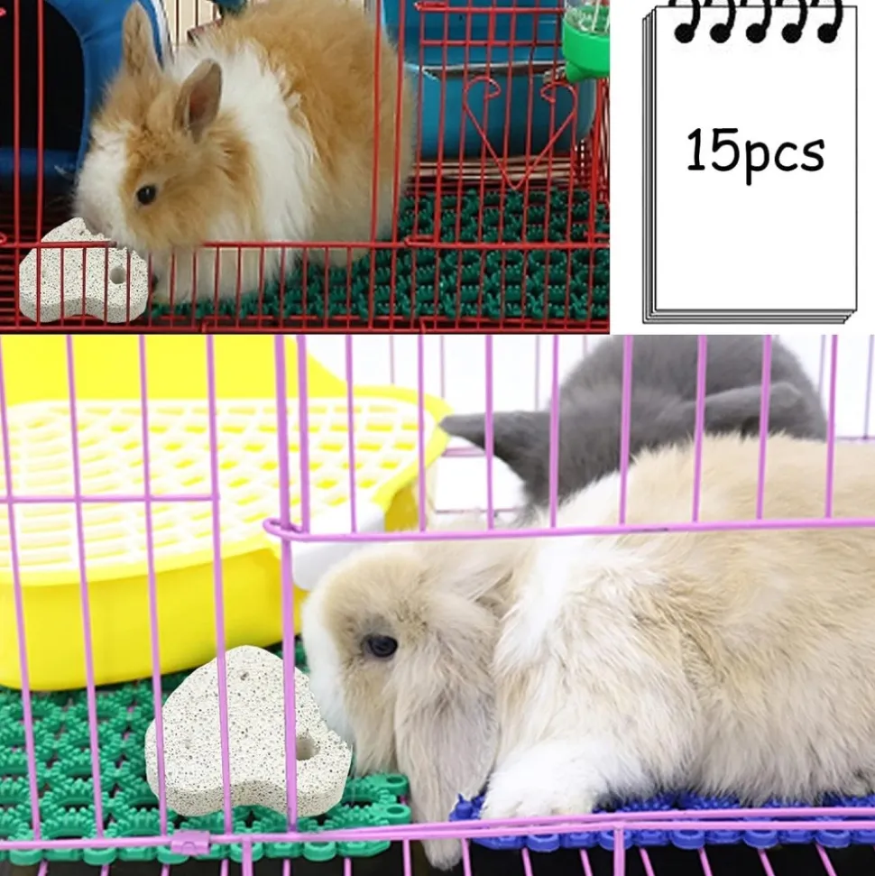 DOWNYPAWS - Pierre molaire jouet - 10 pièces pour chinchillas lapins et cobayes