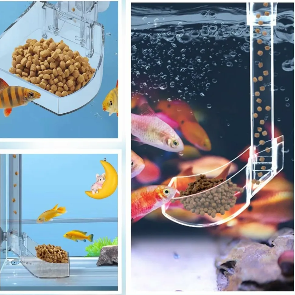 DOWNYPAWS - Plateau de nourriture transparent pour aquarium & crevettes s