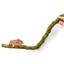 DOWNYPAWS - Poteau d'escalade en mousse 60 cm pour animaux de compagnie