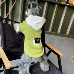 DOWNYPAWS - Pull à capuche confortable, tricot colorblock pour animaux de compagnie