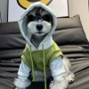 DOWNYPAWS - Pull à capuche confortable, tricot colorblock pour animaux de compagnie