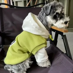 DOWNYPAWS - Pull à capuche confortable, tricot colorblock pour animaux de compagnie