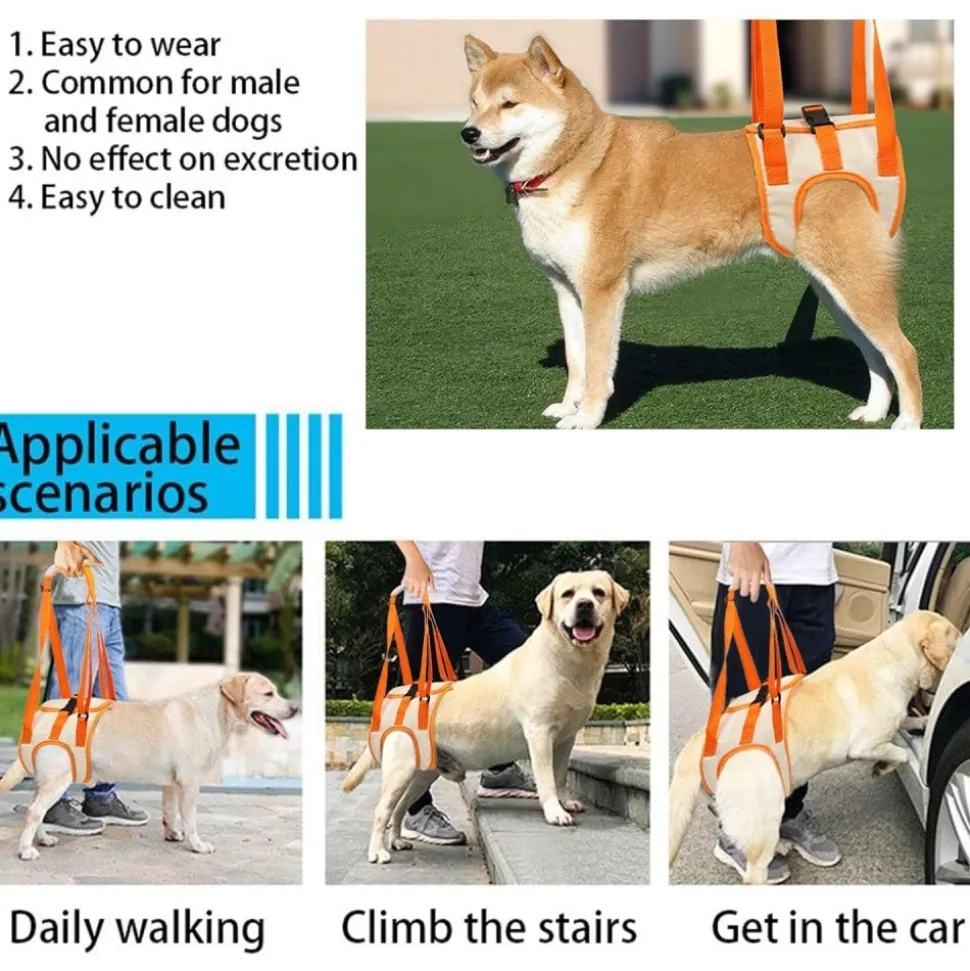 DOWNYPAWS - Sangle de soutien des pattes arrières pour chien