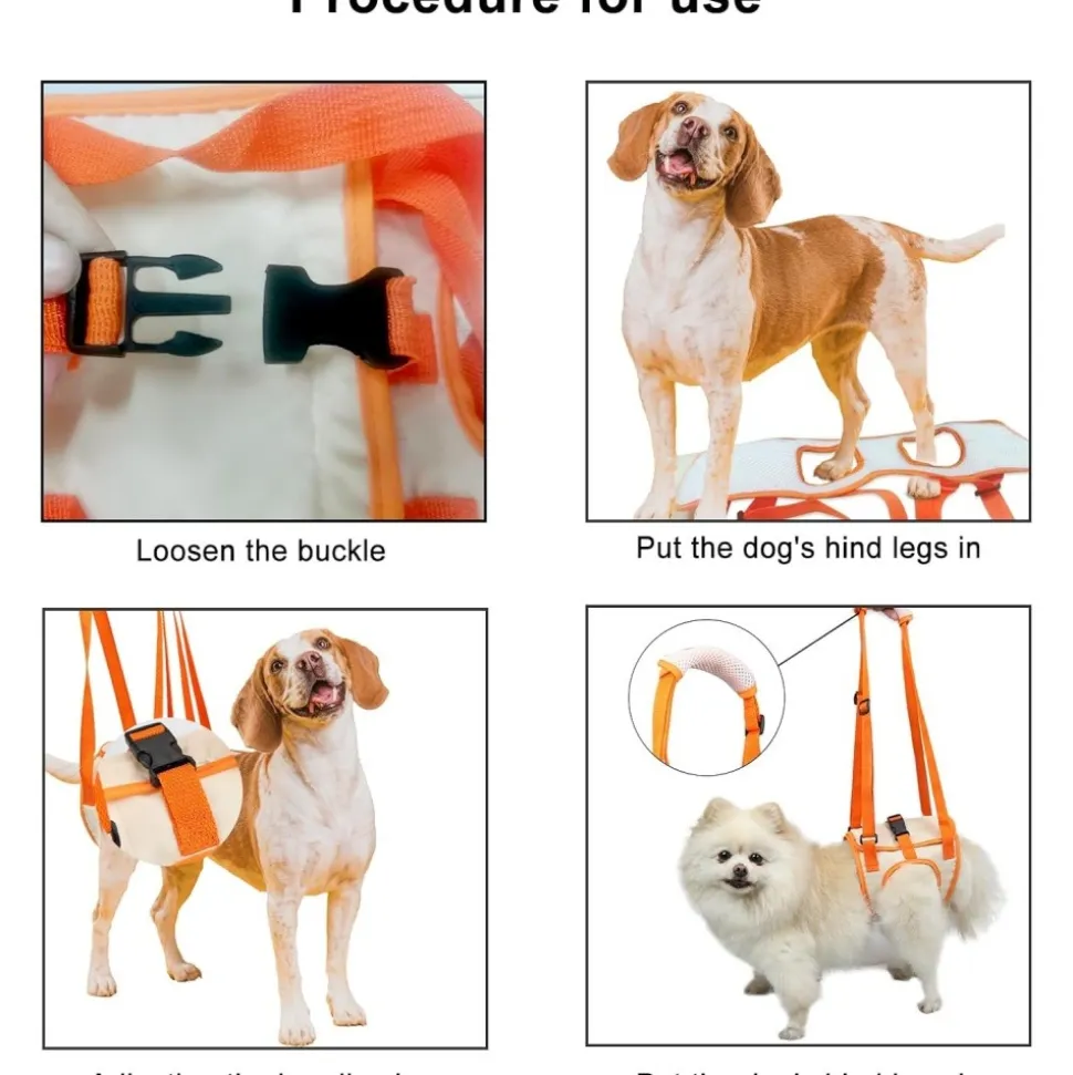 DOWNYPAWS - Sangle de soutien des pattes arrières pour chien