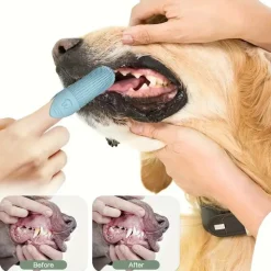 DOWNYPAWS - Set de 3 broches à dents en silicone pour chiens