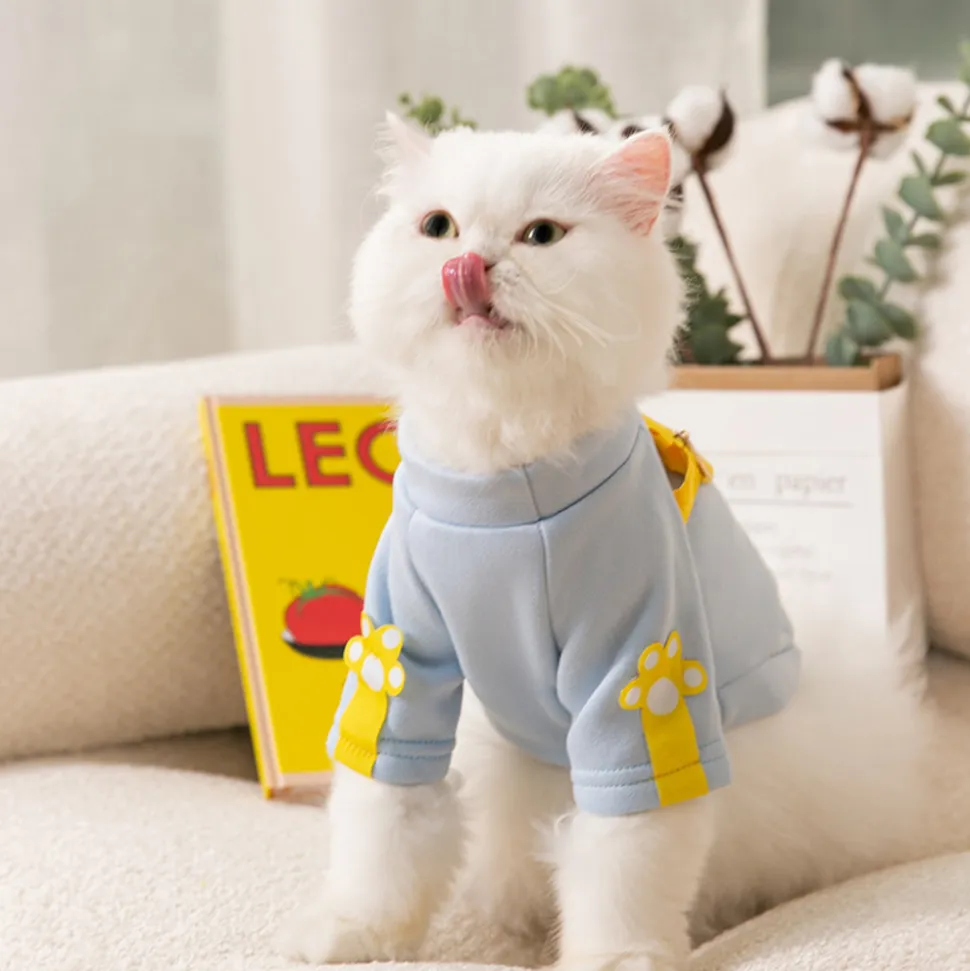 DOWNYPAWS - Sweat - shirt pour chien, décoré d'un sac d'ours de dessin animé
