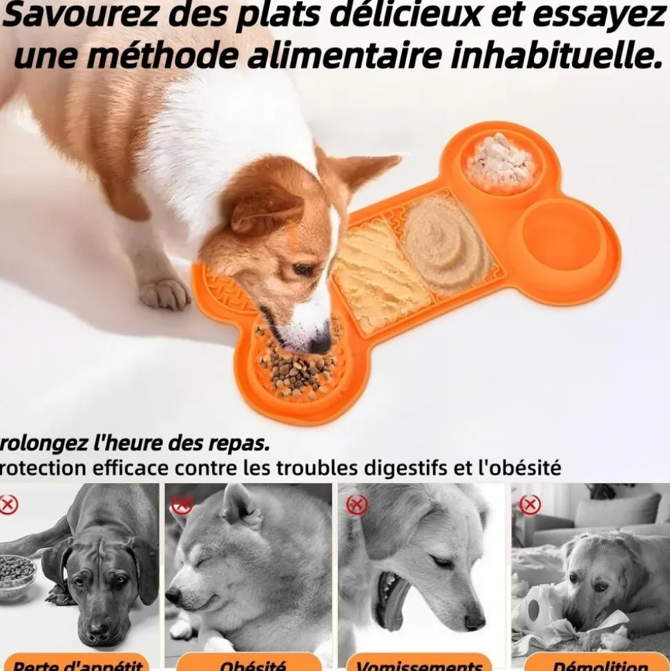 DOWNYPAWS - Tapis antifuite - 6 en 1 slow feeder gamelle