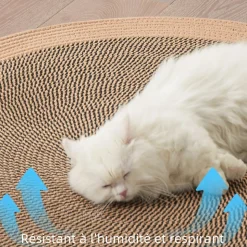 DOWNYPAWS - Tapis de couchage pour chat