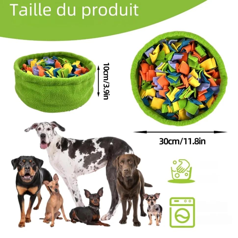 DOWNYPAWS - Tapis de recherche pour chien