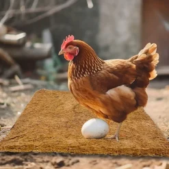 DOWNYPAWS - Tapis en fibre de noix de coco pour nid d'oiseau et animal de compagnie 40*40cm5 pièces