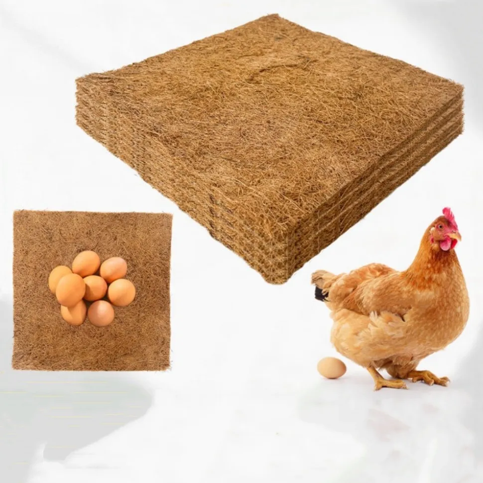 DOWNYPAWS - Tapis en fibre de noix de coco pour nid d'oiseau et animal de compagnie épaisseur 1cm 40*40cm 5 pièces