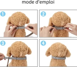 DTOPBUYAGE - Collier antiparasitaire réglable pour chien dtopbuyage 62 cm