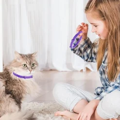 DTOPBUYAGE - Collier apaisant pour chat dtopbuyage