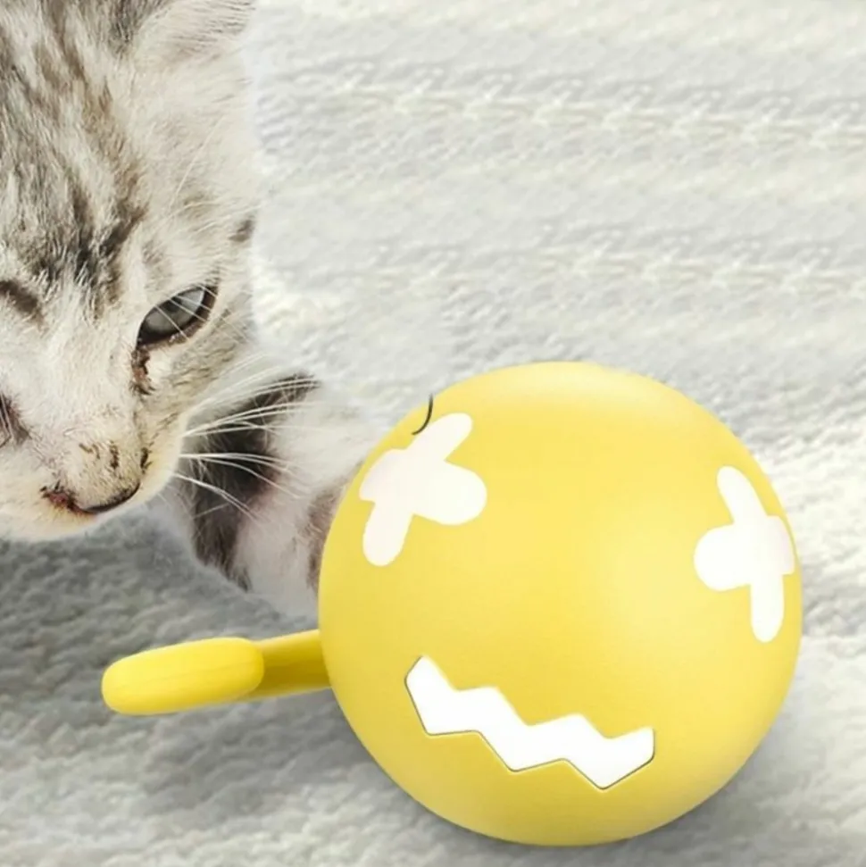 DTOPBUYAGE - Dtopbuyage balle électrique pour chat