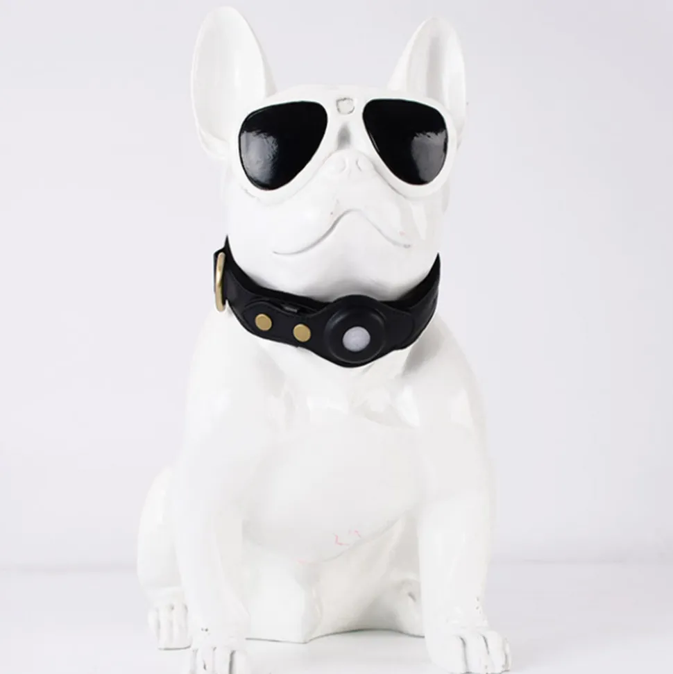 DTOPBUYAGE - Dtopbuyage collier de chien compatible avec airtag