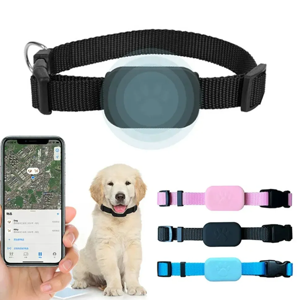 DTOPBUYAGE - Dtopbuyage collier de suivi pour animaux de compagnie