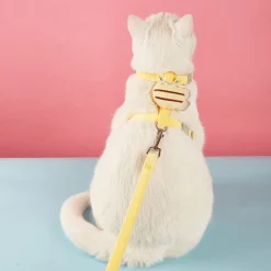 DTOPBUYAGE - Dtopbuyage corde pour promener le chat
