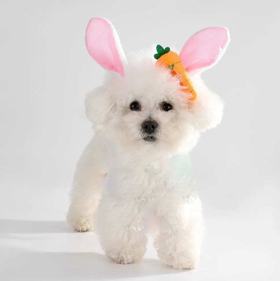 DTOPBUYAGE - Dtopbuyage ensemble d'easter pour chiens et lapins