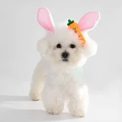 DTOPBUYAGE - Dtopbuyage ensemble d'easter pour chiens et lapins
