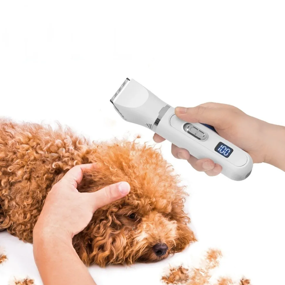 DTOPBUYAGE - Dtopbuyage kit de soins 4 en 1 pour chats et chiens