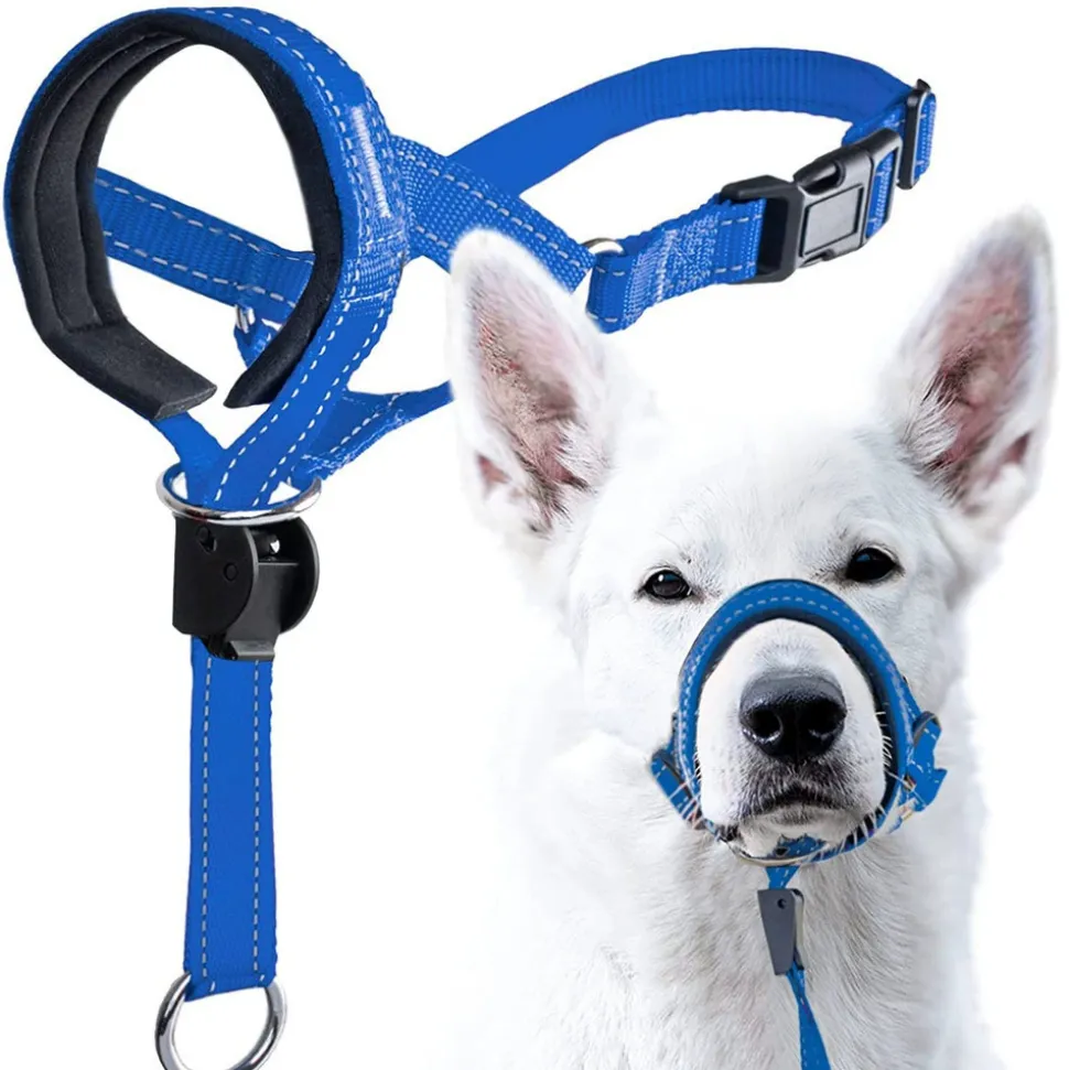 DTOPBUYAGE - Dtopbuyage licol anti-traction pour chien de taille moyenne