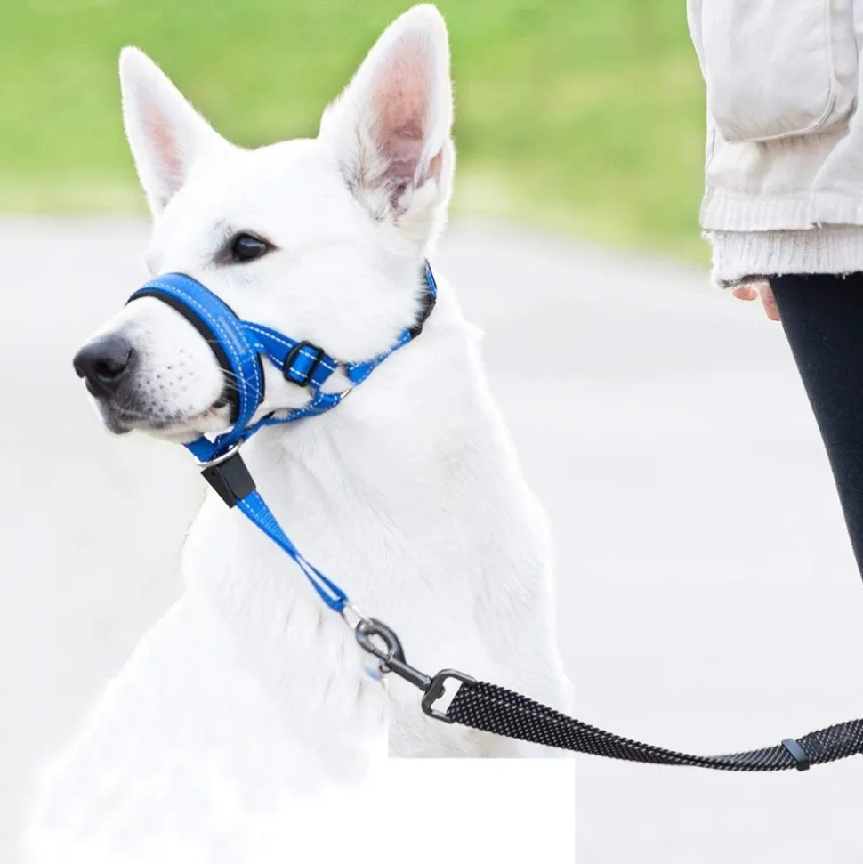 DTOPBUYAGE - Dtopbuyage licol anti-traction pour chien de taille moyenne