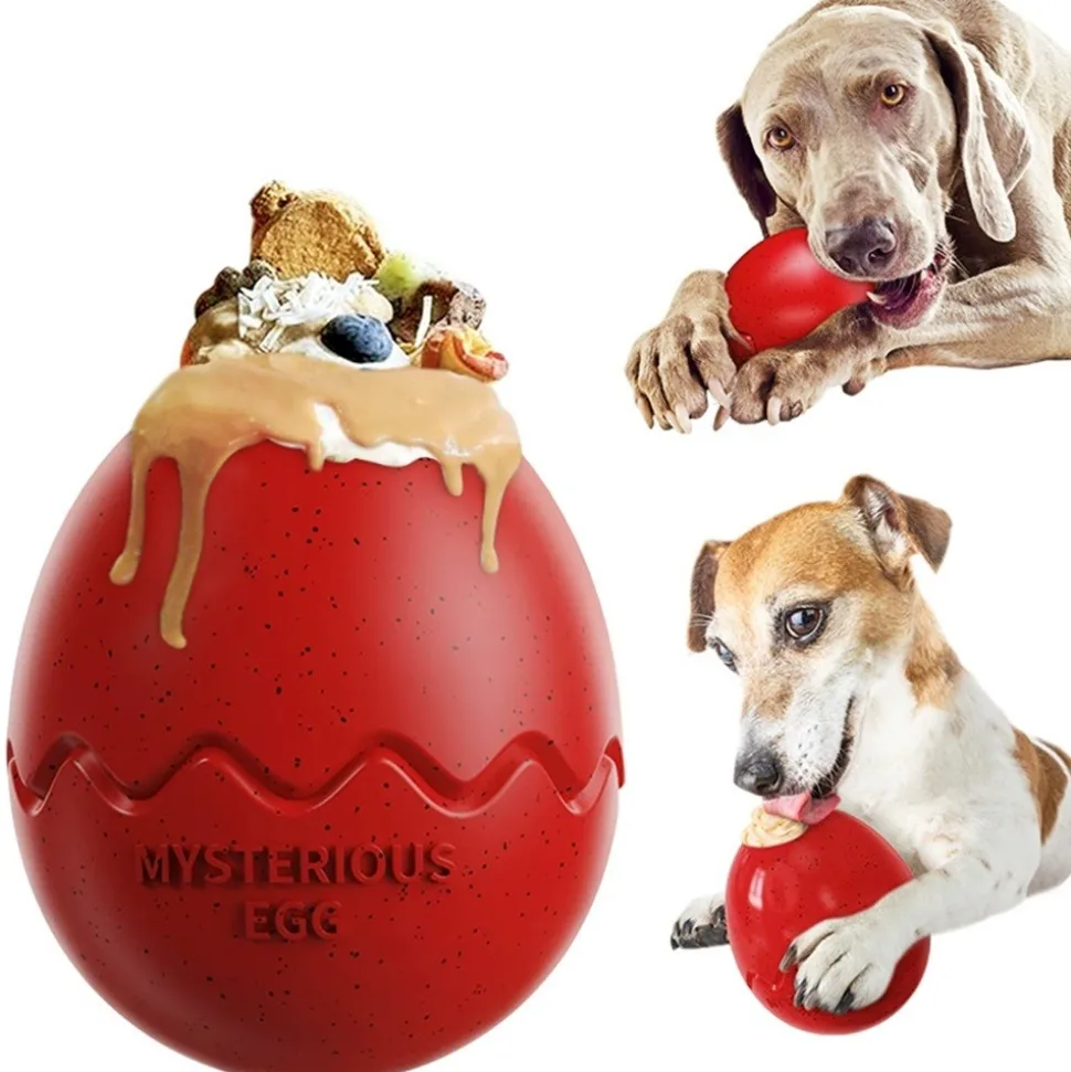 DTOPBUYAGE - Dtopbuyage œuf de dinosaure slow food pour chien
