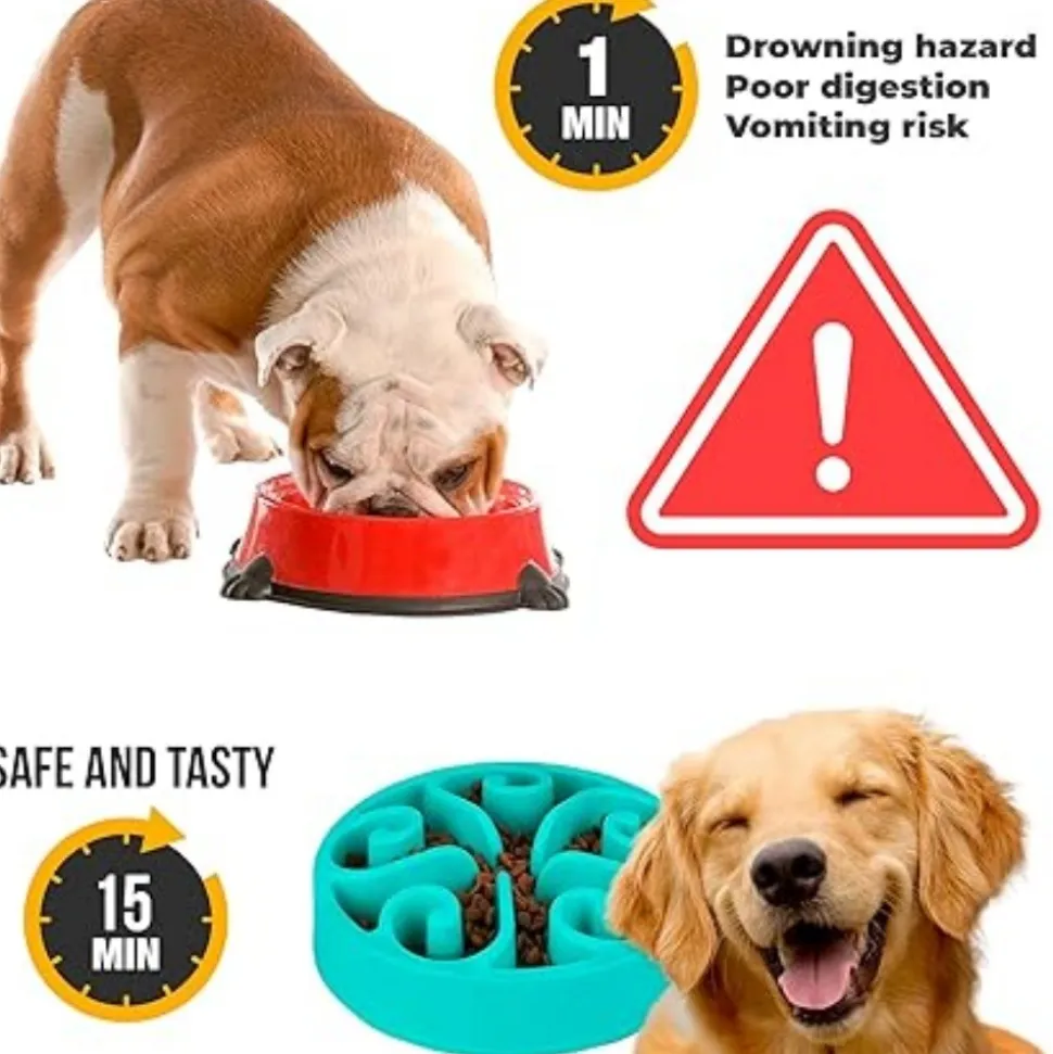 DTOPBUYAGE - Gamelle anti glouton bleu plateau interactif pour animaux compagnie