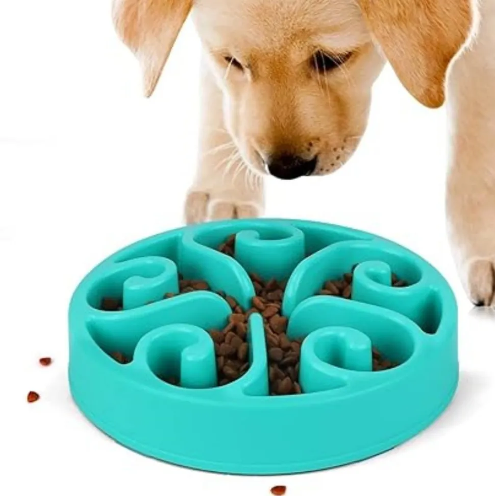 DTOPBUYAGE - Gamelle anti glouton bleu plateau interactif pour animaux compagnie