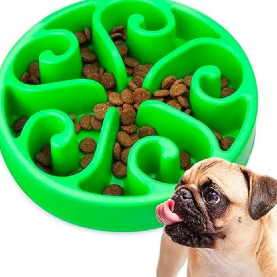 DTOPBUYAGE - Gamelle anti glouton vert plateau interactif pour animaux compagnie