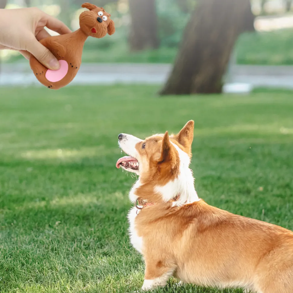 DTOPBUYAGE - Jouet couineur pour chien 4 pièces dtopbuyage