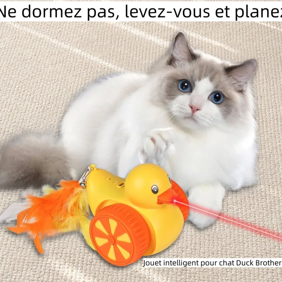 DTOPBUYAGE - Jouet laser intelligent pour chat et canard dtopbuyage